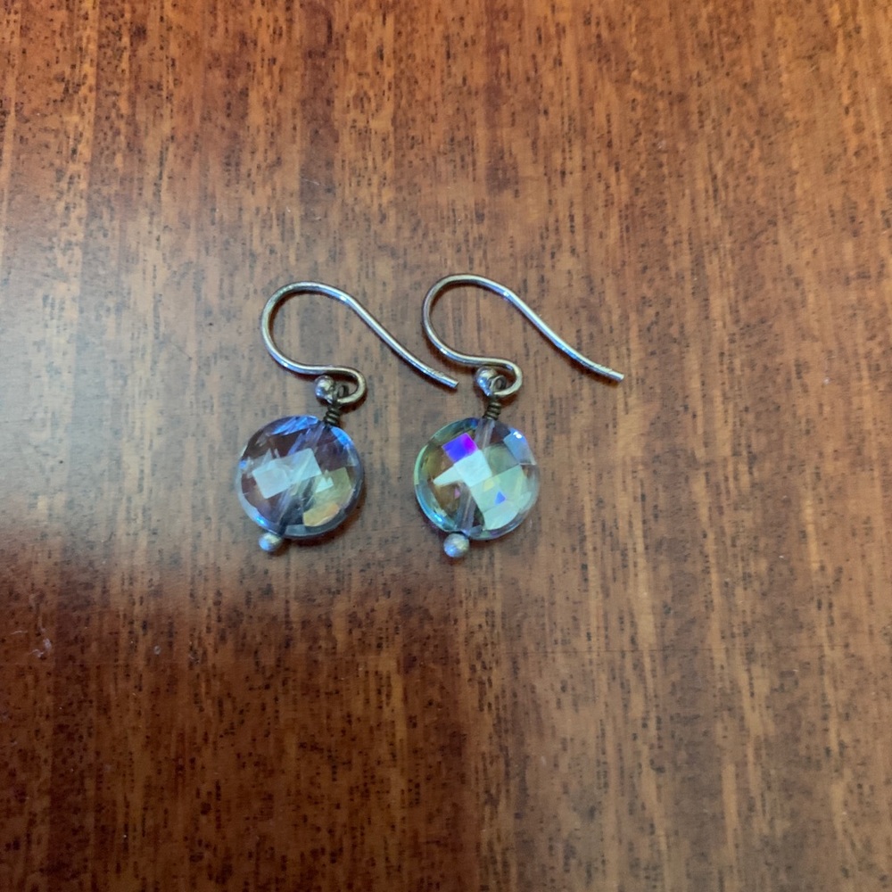 NWOT Adorable Round Dangle Earrings